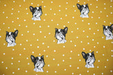Baumwolljersey Bulli Dots Fräulein von Julie